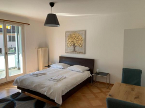 Sunny studio in the city center (Oken1)
